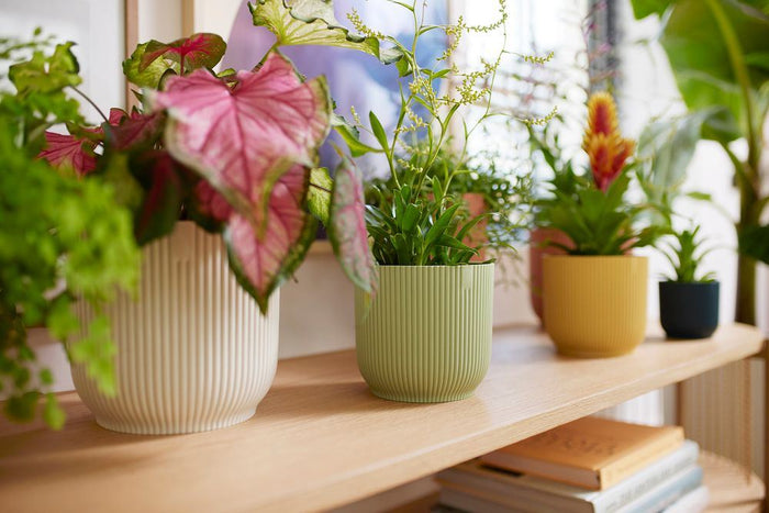 elho Vibes Fold Rond 18 - Sorbet groen (Groen) - Ø 18 x H 17 cm -