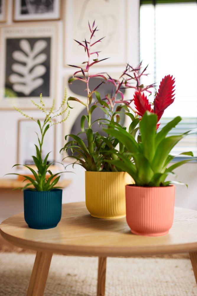 elho Vibes Fold Rond 14 - Delicaat roze (Roze) - Ø 14 x H 13 cm -