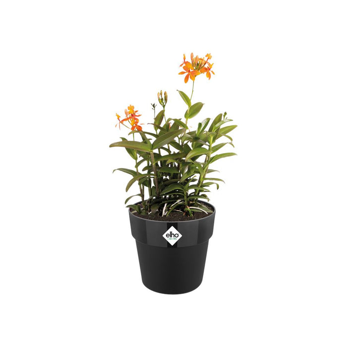 elho B.for Original Rond 30 - Living black (Zwart) - Ø 30 x H 27 cm -