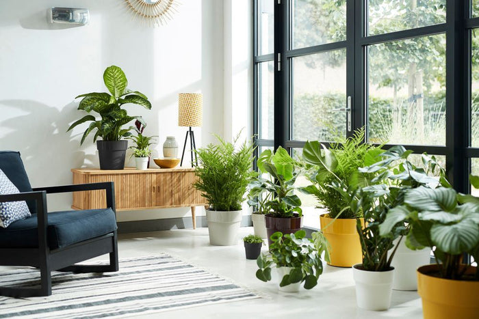 elho B.for Original Rond 30 - Living black (Zwart) - Ø 30 x H 27 cm -