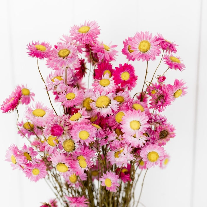 8e31907e-5ae3-49db-a1f4-9fca0810df68-afbeelding5.jpg (1133810)