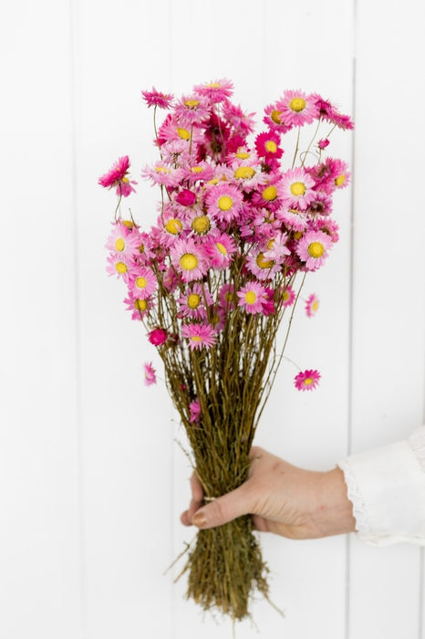 8e31907e-5ae3-49db-a1f4-9fca0810df68-afbeelding6.jpg (1133812)