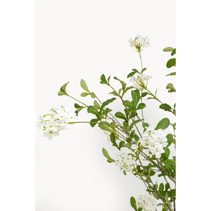 Decoratie plant Plumbago 152cm Kare Design