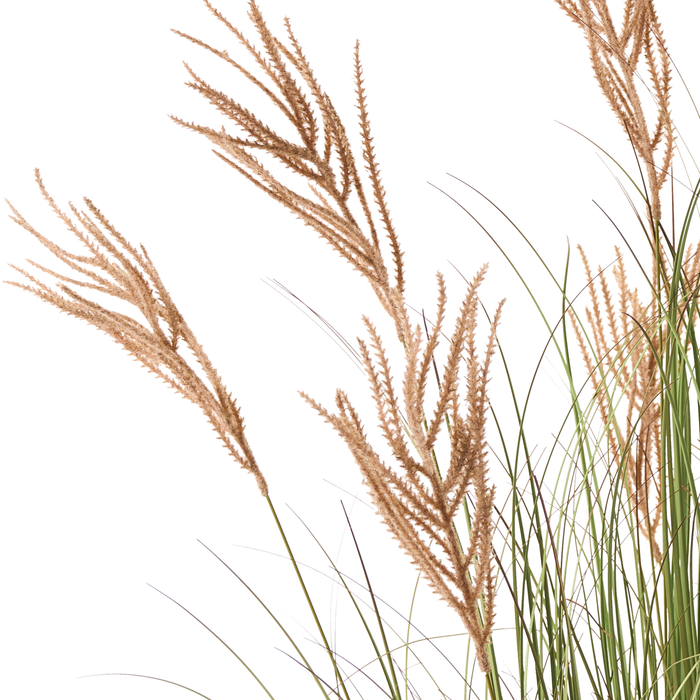 Beliani-CLAW FLOWER-Kunstplant-Groen|Bruin-150 cm-Synthetisch