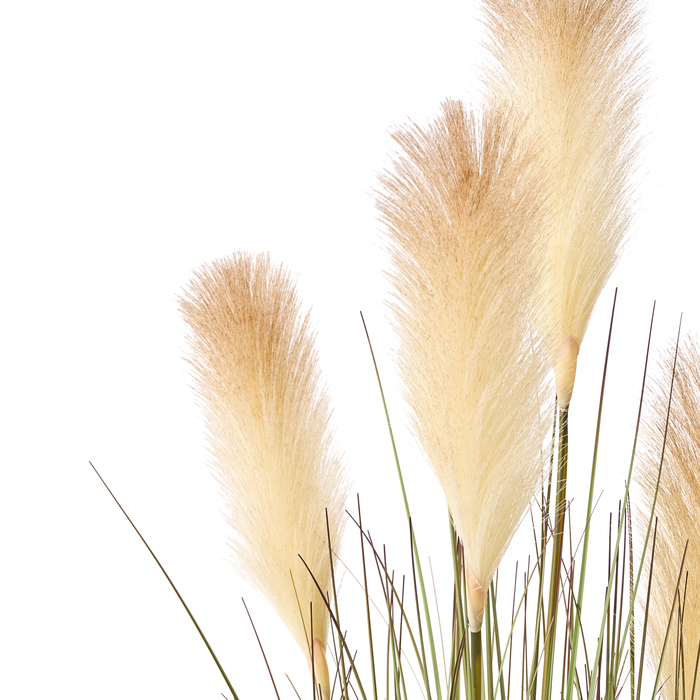 Beliani - PAMPAS GRASS - Kunstplant - Groen|Wit - 120 cm - Plastic