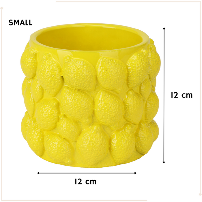 MISOU Citroenvaas 5 soorten Bloempot met Citroenen Citroenvaas Plan...