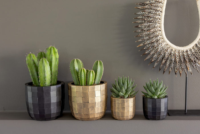 Capi Europe - Pot bol Blocks - 17x15 - Zwart