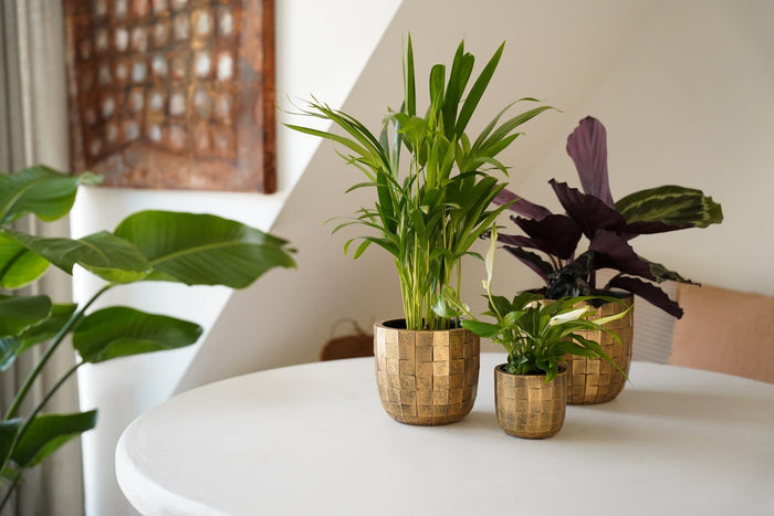 Capi Europe - Pot bol Blocks - 14x13 - Beige