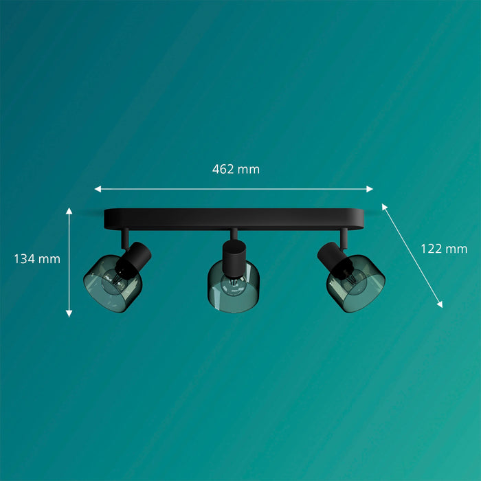 Philips Sleet Opbouwspot - Plafondspots Incl. Philips LED Lamp