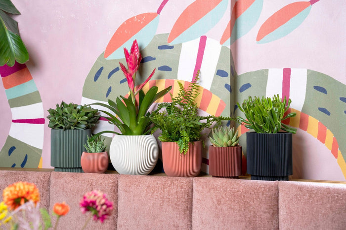 Capi Europe - Pot bol Groove - 24x21 - Grafietgrijs