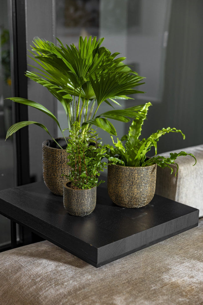 Capi Europe - Pot bol Skin - 14x13 - Zwart beige