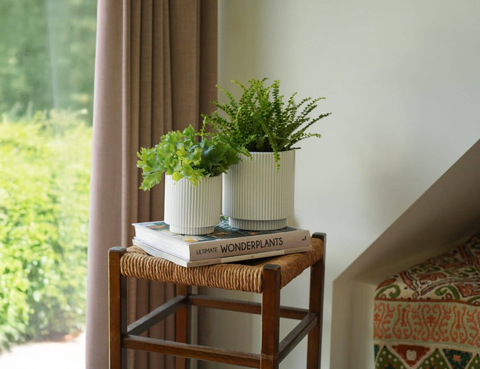 Capi Europe - Vaas cilinder Groove - 19x21 - Zwart rood