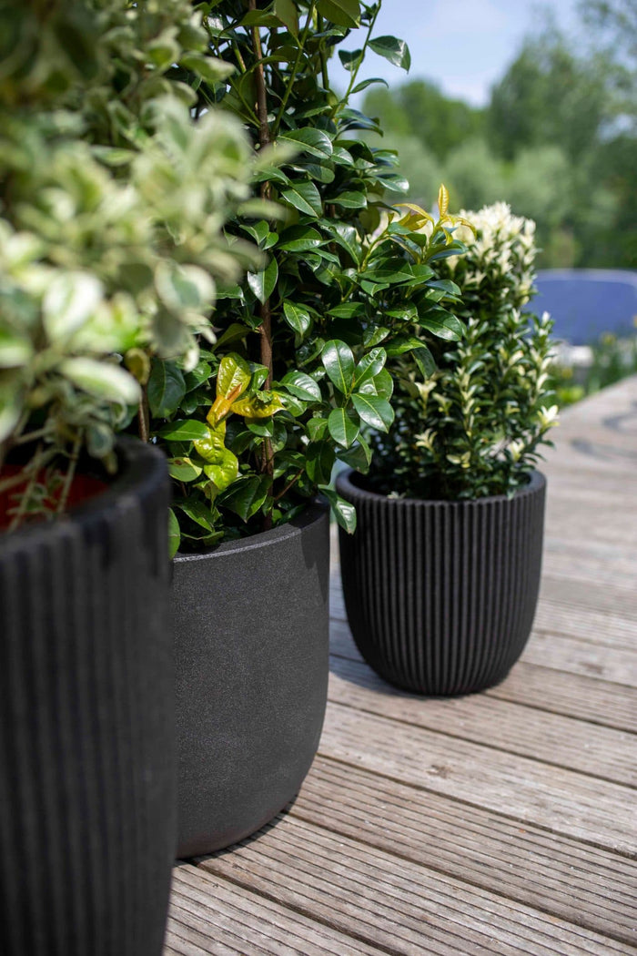 Capi Europe - Pot bol Smooth NL - 43x41 - Beige