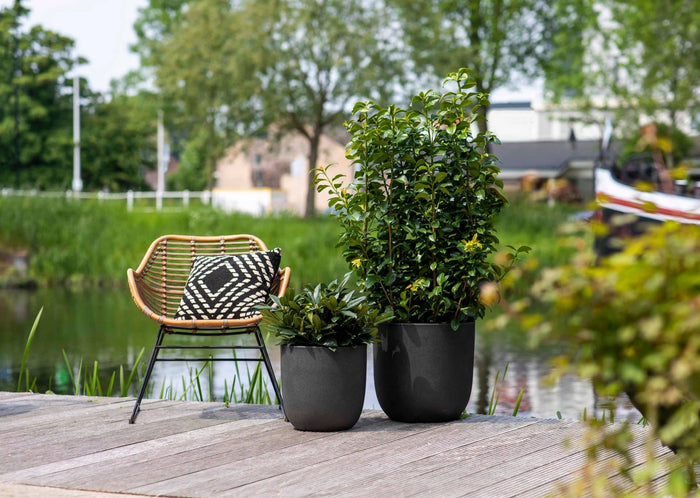 Capi Europe - Pot bol Smooth NL - 54x52 - Beige