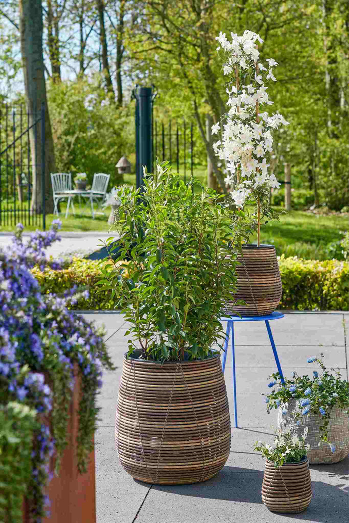 Mica Decorations Bloempot Cancun - 47x47x50 cm - Gerecycled Plastic - Bruin- Set van 3