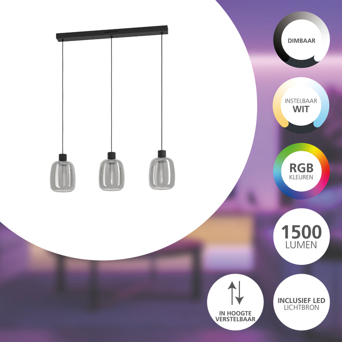 EGLO connect.z Molochio-Z Hanglamp - LED - Glas - Zwart