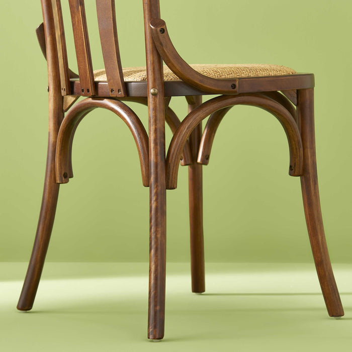 Calicosy - ESTAMINET Lot - B48 cm - Bruin