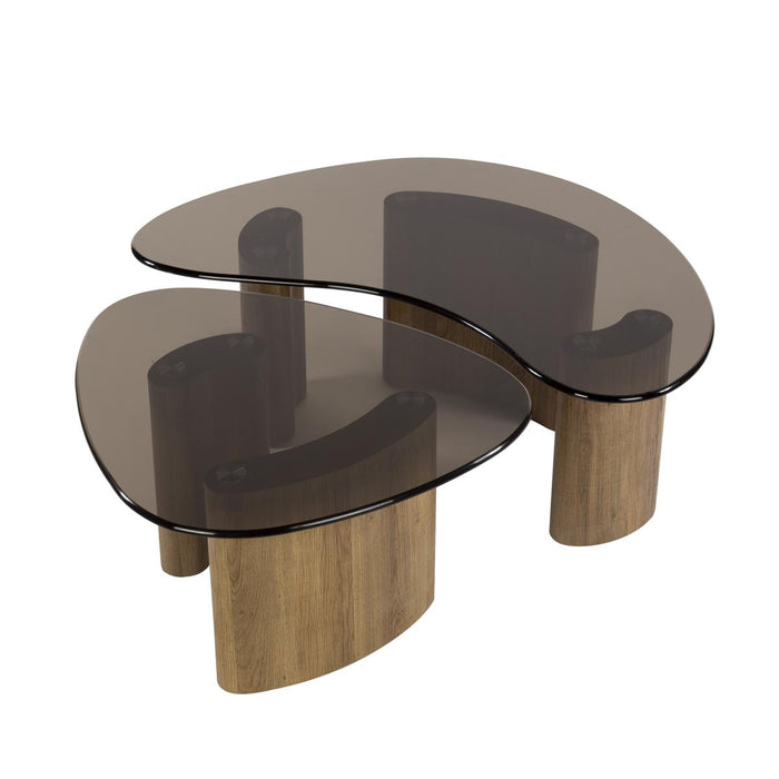 Fraaai - Caruso organische salontafels - set van 2 - smoked glass