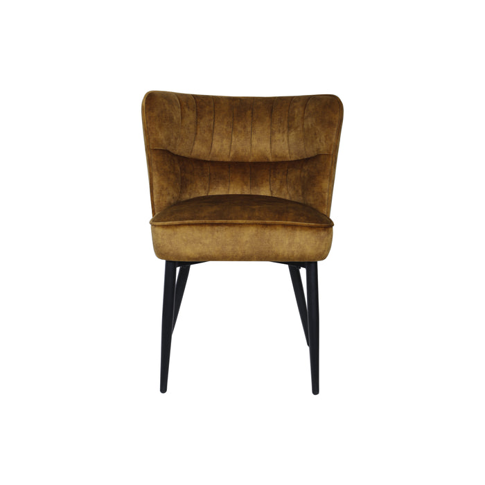 PTMD Marth Brown Dining Chair