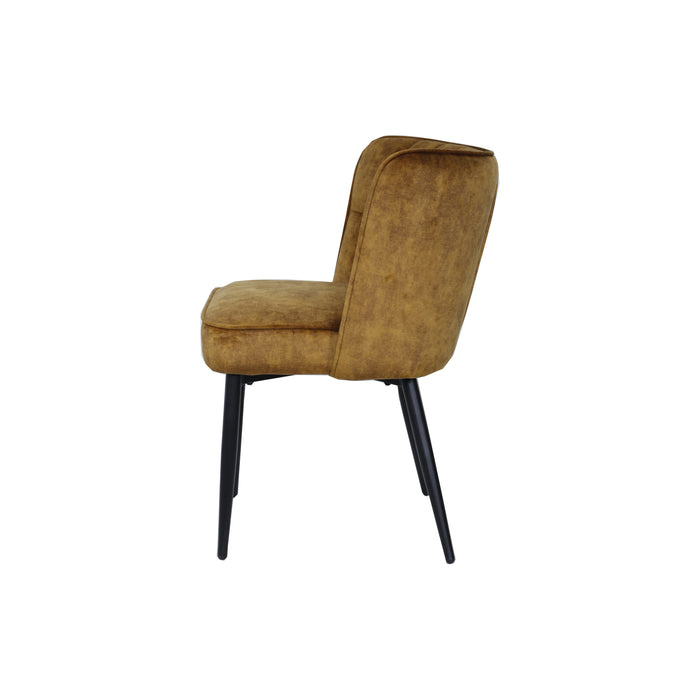 PTMD Marth Brown Dining Chair