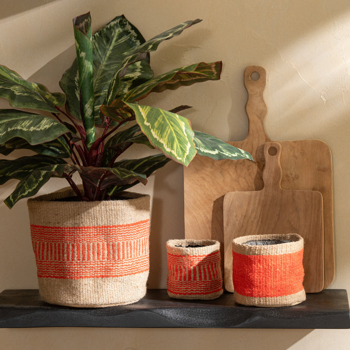 J-Line plant Peacock Plant In Pot - kunststof - groen