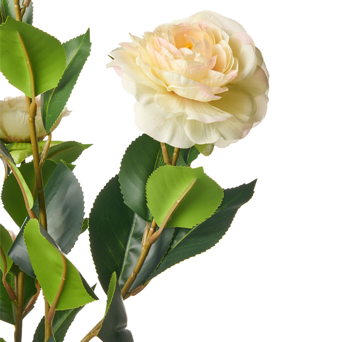 Beliani - CAMELLIA - Kunstplant - Groen - 60 cm - Kunststof