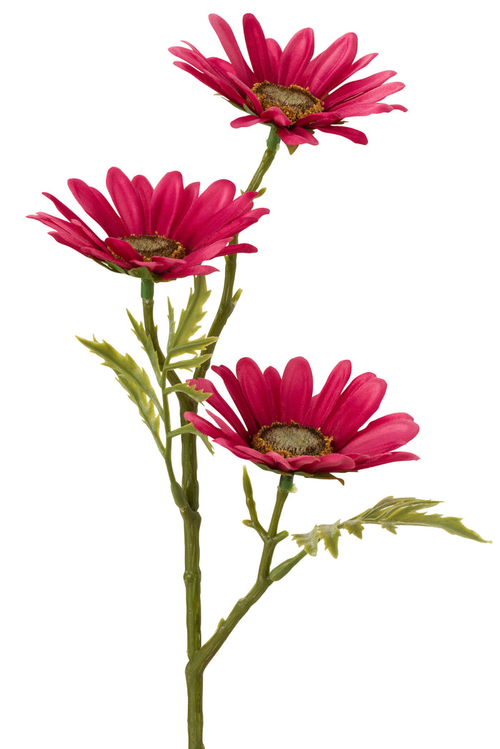 J-Line bloem Madelief - kunststof - fuchsia - 36 stuks