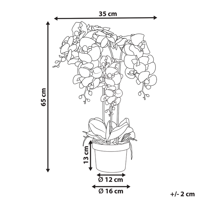 Beliani - ORCHID - Kunstplant - Roze - 65 cm - Synthetisch materiaal