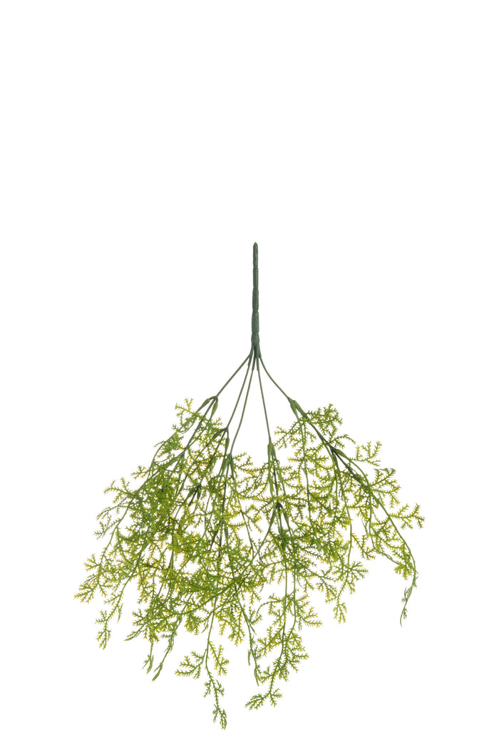 J-Line decoratie tak Varen Fijn - kunststof - groen