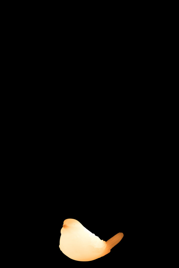 J-Line figuur Vogel - was - wit - small - LED lichtjes