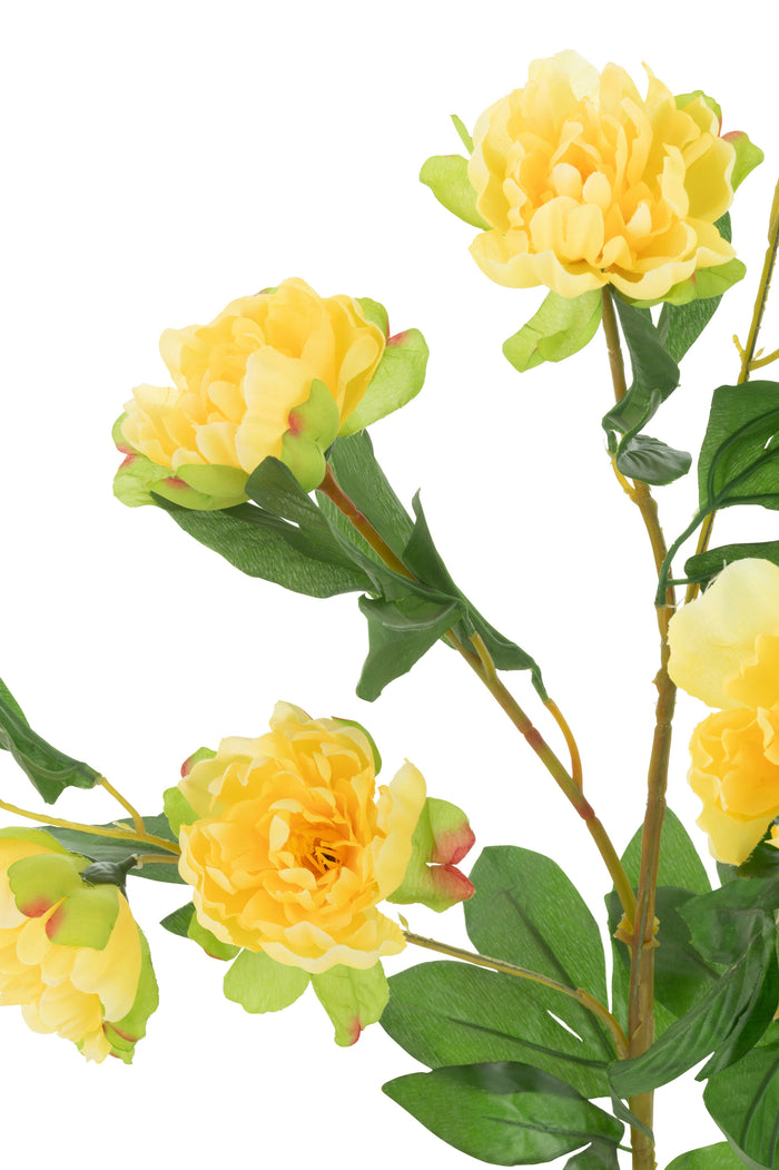 J-Line pioenroos in Pot - kunststof - geel