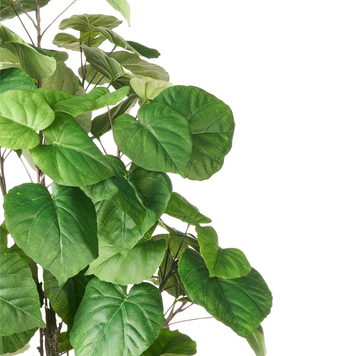 Beliani - FICUS TREE - Kunstplant - Groen - 160 cm - Kunststof