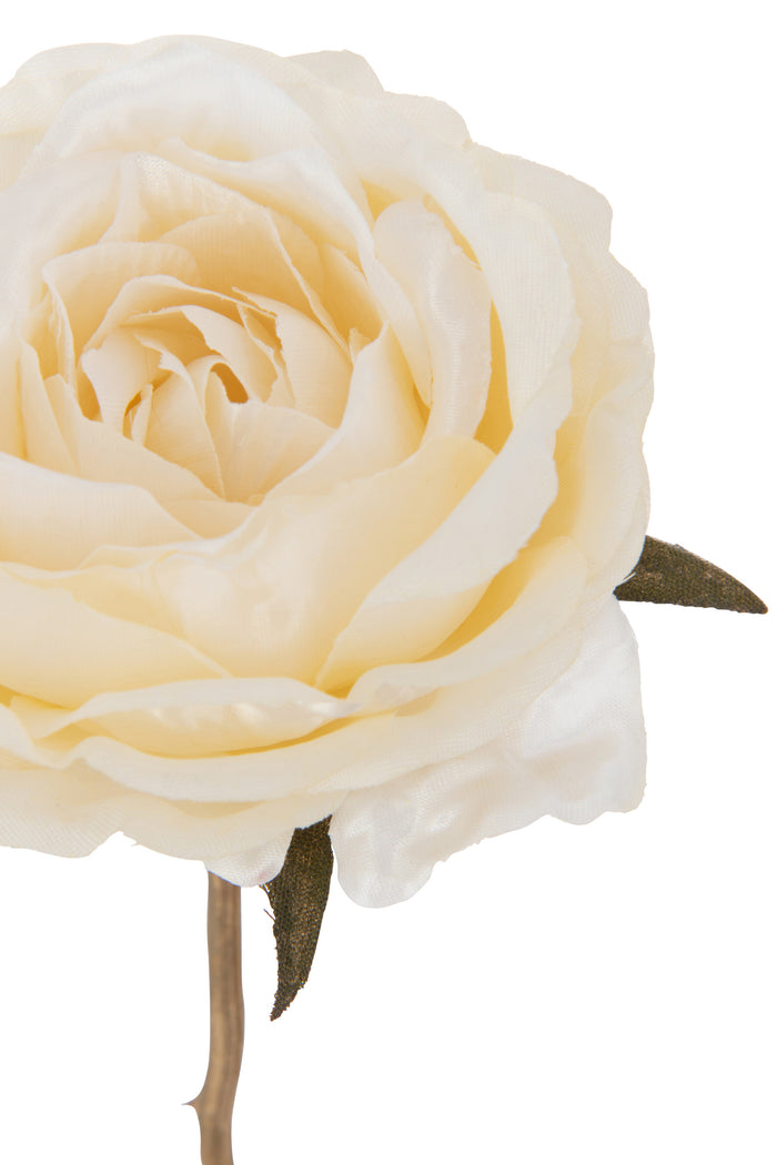 J-Line bloem Roos 1 Stengel - kunststof - creme|goud - 24 stuks