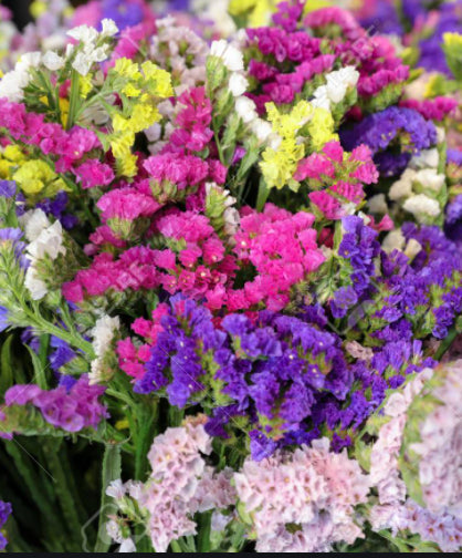 554b6c21-2b06-4d3c-80fd-6456c197c709-sfeerbeeld.jpg (1142252)