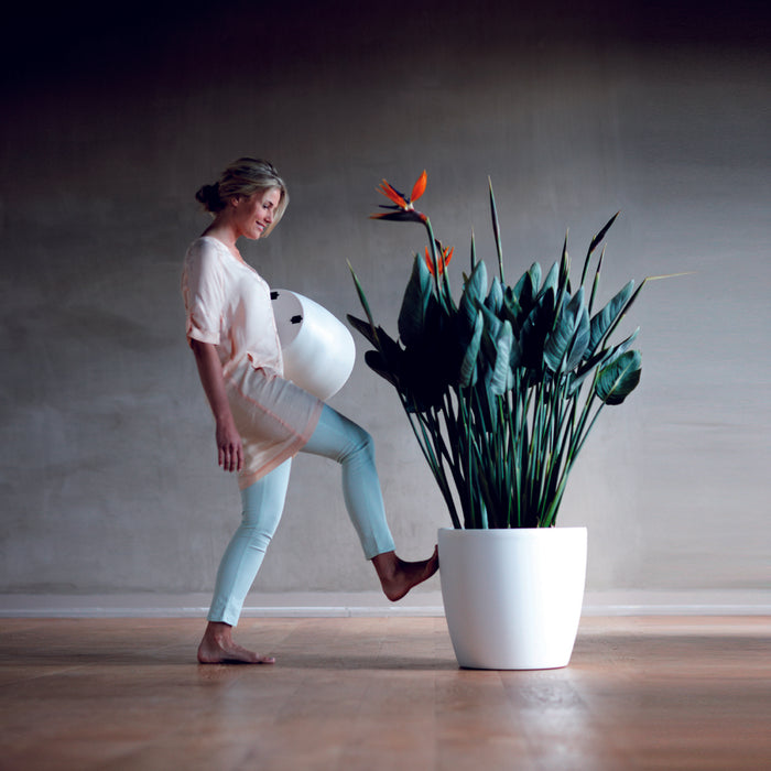 elho Brussels Bloempot op Wielen 35 cm