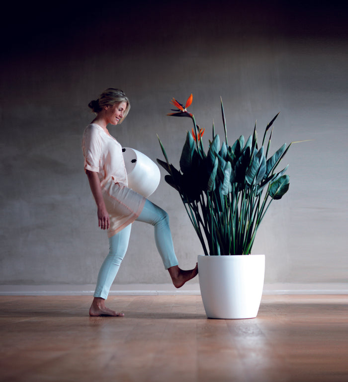 elho Brussels Bloempot op Wielen 35 cm