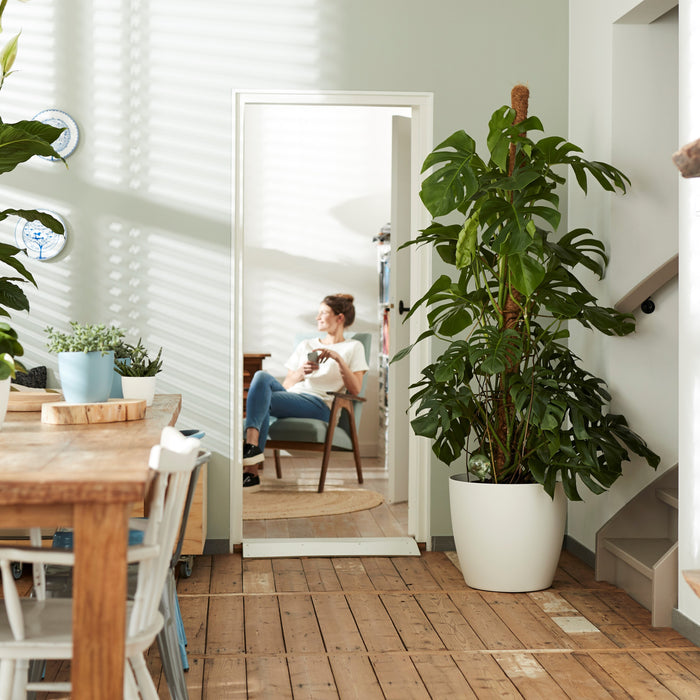 elho Brussels Bloempot op Wielen 35 cm