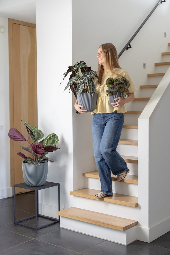 Capi Europe - Pot bol Groove 'made with' - 17x15 - Textiel grijs