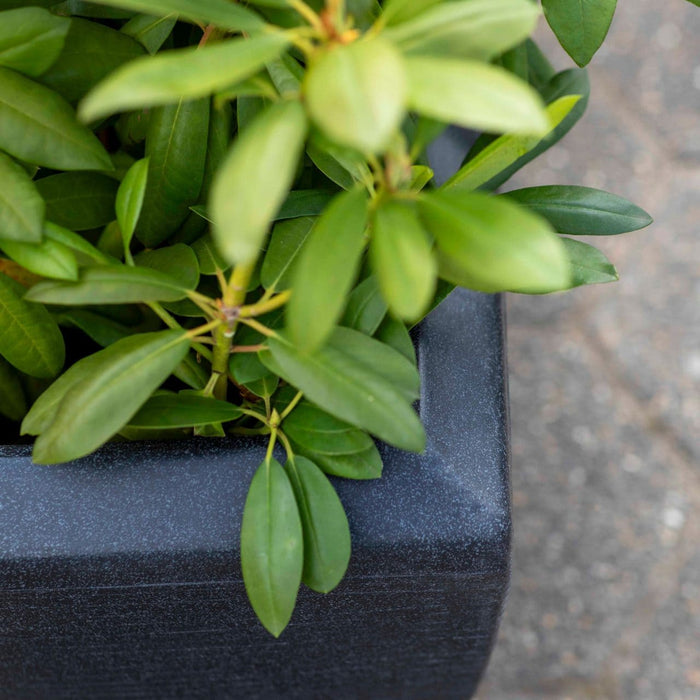 Capi Europe - Bak rechthoek hoog Arc Granite - Warm taupe - 88x36x100