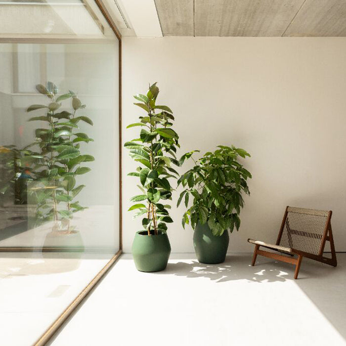 Elho June Split High 46 - Groen - Ø 46 x H 53 cm - Binnen en Buiten - 100% gerecycled