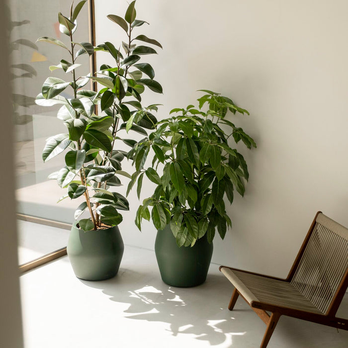 Elho June Split Low 46 - Groen - Ø 46 x H 42 cm - Binnen en Buiten - 100% gerecycled