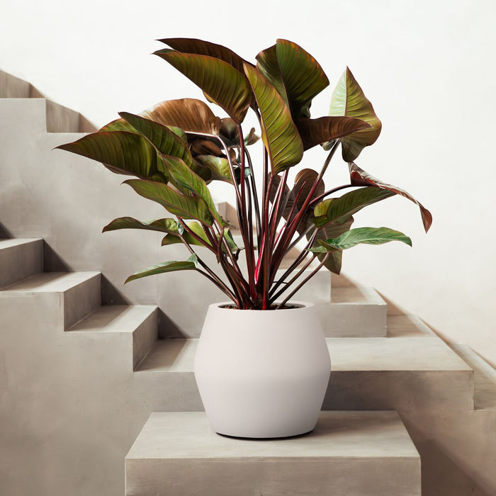 Elho June Split Low 46 - Linnen wit - Ø 46 x H 42 cm - Binnen en Buiten - 100% gerecycled