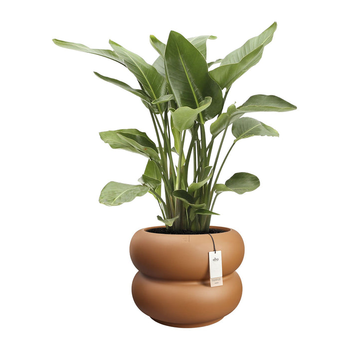 Elho Amber Roll Low 60 - Karamel - Ø 60 x H 46 cm - Binnen en Buiten - 100% gerecycled kunststof