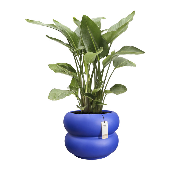 Elho Amber Roll Low 60 - Royal blue - Ø 60 x H 46 cm - Binnen en Buiten - 100% gerecycled