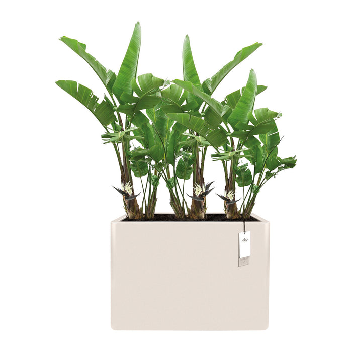 Elho June Brick Divider 80 - Linnen wit - L 79 x B x H 59 cm - Binnen en Buiten - 100% gerecycled