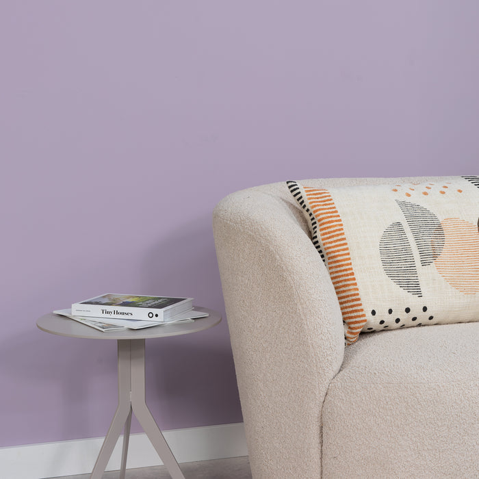 Spinder x Eva van de Ven 2,5L matte muurverf - Philipa