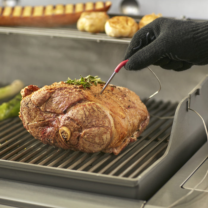 Weber iGrill Mini Digitale Thermometer