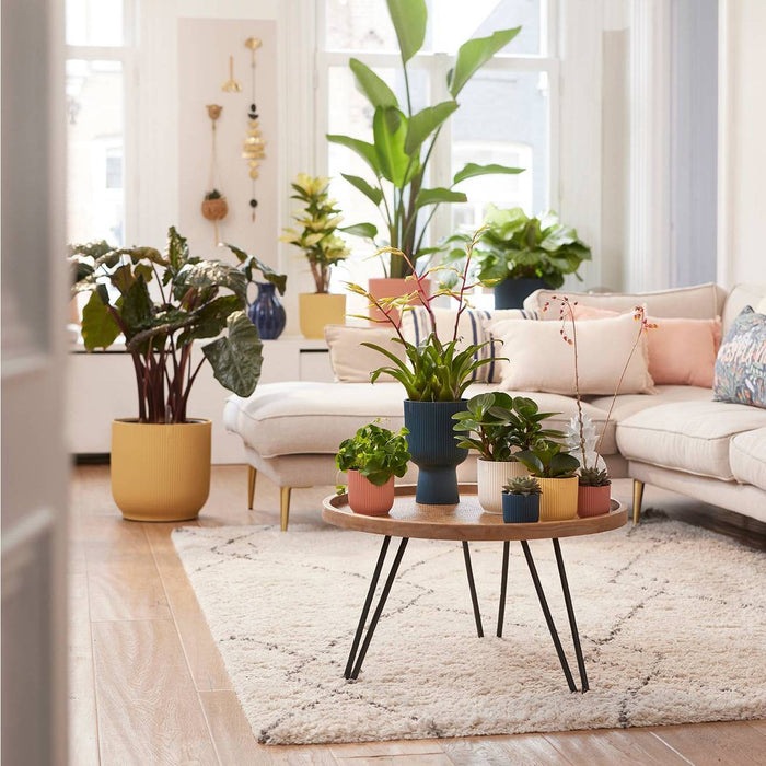 elho Vibes Fold Bloempot Ø 35 cm met Wielen