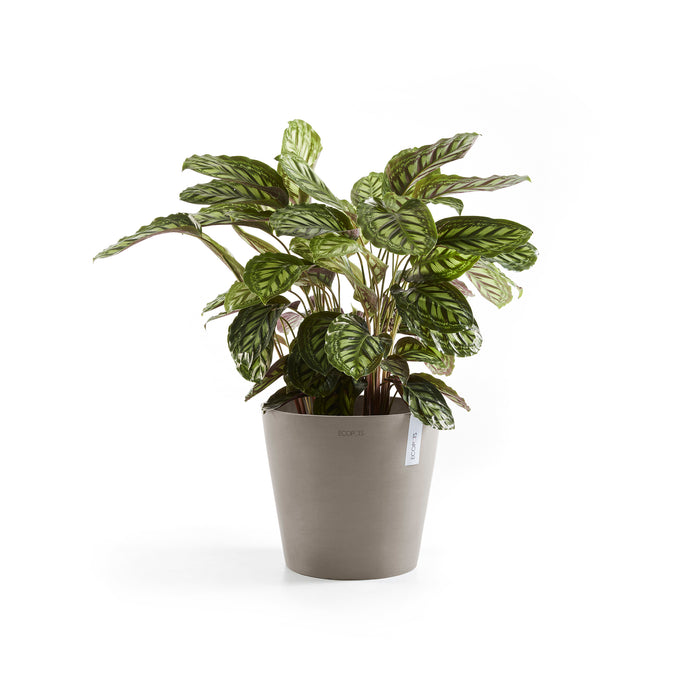 Ecopots Amsterdam Pot Ø 40 cm - Taupe