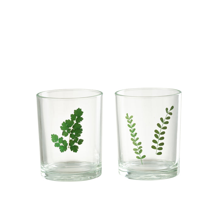 J-Line windlicht Bladeren - glas - groen|transparant - 2 stu
